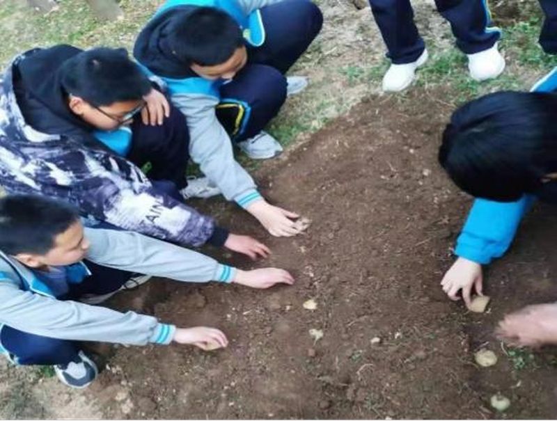 勞動促成長 科創(chuàng)向未來——趣味生物科學種植課程